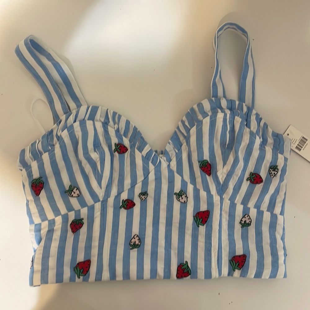 $90 NWT Anthropologie Striped Strawberry Tank cute vintage stripes crop